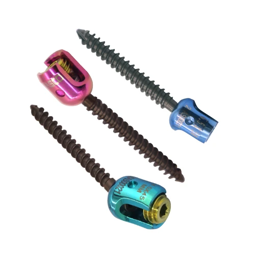 Poly Axial Screw